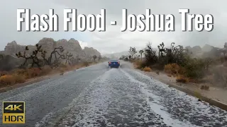 Joshua Tree Flash Flood - 4K Drive