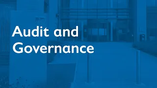 Audit and Governance Committee (consultative meeting) 28 July 2022