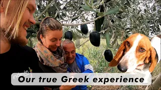 Meeting a Local Greek Farmer | Way of life in Greece | Van Life Vlog | Corona Pandemic Travel 2021