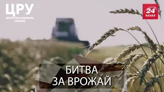 ЦРУ. Кривава бійня за гектари: хто і як "віджимає" земельні ділянки