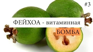 Как вырастить ФЕЙХОА в домашних условиях