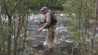 Fly Fishing the Gallatin River in Bozeman Montana