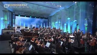 (1h loop) Donkey Kong Country 2 - Stickerbrush Symphony (Symphonic Gamers Orchestra)