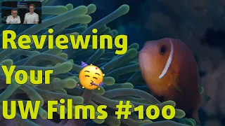 Reviewing YOUR UNDERWATER FILMS #100 ⎮ Mystery submission 🤔