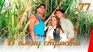 В ПЛЕНУ СТРАСТИ / Cañaveral de pasiones (77 серия) (1997) сериал