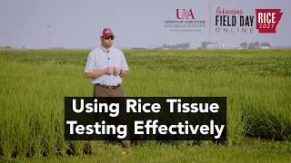 2021 Arkansas Rice Field Day: Rice Tissue Testing & Soil Fertility Management