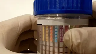 Oz drug tests 16 panel urine drug test cup