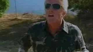 I'm With Busey - Ahhh! This Sucks!