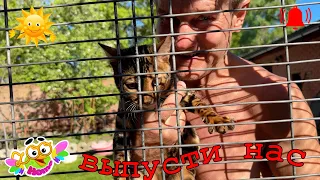 Dad with cat Leopold in a cage. Папа с котом Леопольдом в клетке.