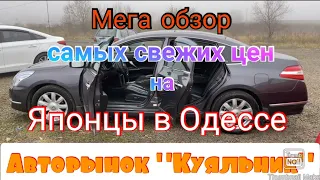 Большой обзор японских авто в Одессе. Авторынок «Куяльник» (Яма)