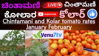 #Venu7tv #Chintamani #Kolar #January February #tomato rates