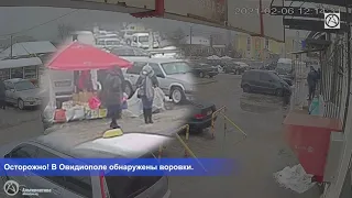 ОВІДІОПОЛЕМ КУРСУВАЛИ КРАДІЇ. ВІДЕО