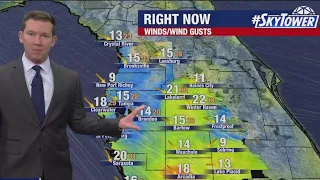 Today's Tampa Bay forecast - Friday, Jan. 13