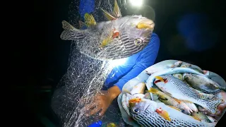 Malalaking Isda ang nahuhuli sa gabi