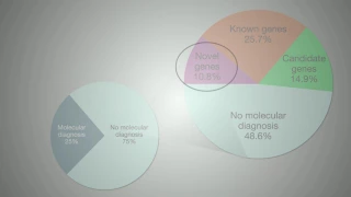 Bridging the gap between discovery and application to diagnose genetic disease