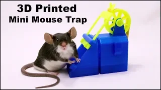 A Crazy Wheel & Rubber Band 3D Printed Mousetrap From Sweden - Mousetrap Monday