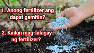 Fertilizer for Grapes | Abono para sa ubas | Macro Nutrients and Micro Nutrients for Plants