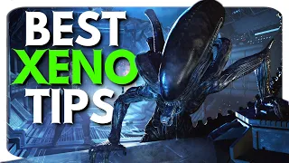 BEST XENOMORPH TIPS | Dead by Daylight