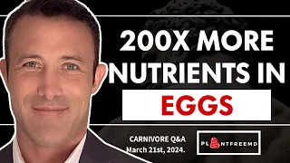 🔴  Nutritionally SUPERCHARGED EGGS?! | Carnivore Q&A March 21st, 2024.