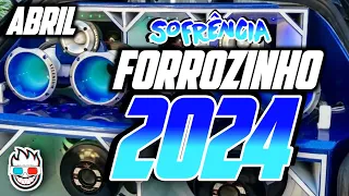 FORROZINHO 2024 REPERTÓRIO ATUALIZADO 2024 CD NOVO 2024 SELEÇÃO 2024 #nordeste #piseiro #forrozin