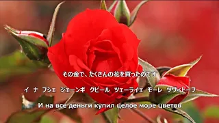 【和訳付き】百万本のバラ (ロシア語) "Миллион алых роз" - カナ読み有