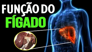 CONHEÇA A FUNÇÃO DO FÍGADO EM 1 MINUTO