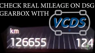 CHECK REAL MILEAGE ON DSG GEARBOX WITH VCDS | SKODA SUPERB 3 DQ250