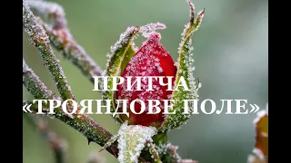 Притча "Трояндове поле".