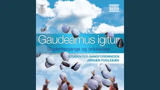 Gaudeamus igitur