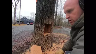 Cutting Down a Leaning Tree and Making It Fall In The Opposite Direction (How Not To)  Ep 33