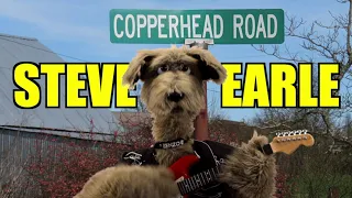 Steve Earle - Copperhead Road - The Underdogs Tribute