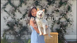 March garden tour! First day of spring in San Diego zone 10