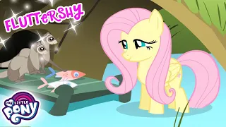 My Little Pony em português 🦄 Melhores episódios de Fluttershy | 2 hora | Amizade é Mágica