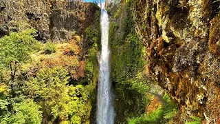 Eagle Creek trail : Hiking Oregon