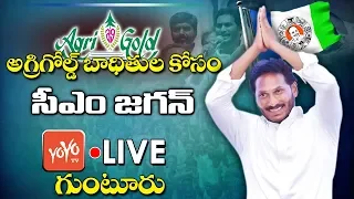 YS Jagan LIVE | AP CM Jagan Distribution of Cheques to Agrigold Victims at Guntur  | YOYO TV NEWS