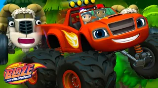 Blaze Gets Chased By Wild Sheep! | Blaze and the Monster Machines