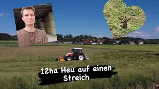 Heu mähen 2022 mit Bambi | Steyr | Pöttinger | Claas | Fella |