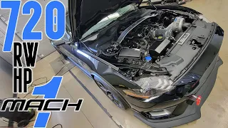 2021 Mustang Mach 1 Dyno (PROCHARGER SUPERCHARGER) 700+ RWHP 12 psi 93 octane INFO