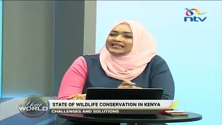 The state of wildlife conservation in Kenya || Your World