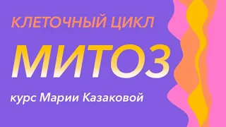 Урок "Клеточный цикл. Митоз" - ЕГЭ, ЦТ, ЗНО