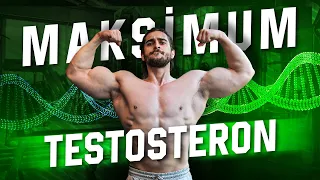 Maksimum Testosteron için 7 Madde!