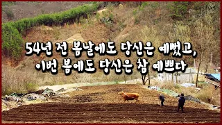 결혼하고 나서야 알았다. 남편 귀가 들리지 않는다는 것을. 서로를 의지하며 묵묵히 살아가는 전북 무주군 삼도봉 골짜기 부부 이야기 (KBS_2019.04.28 방송)