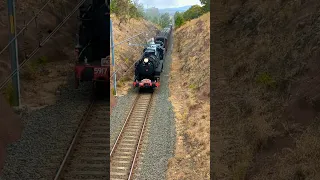 Steam locomotive 5917 & Deisel locomotive 4903 take the Picnic train North through Dapto on 18/12/22