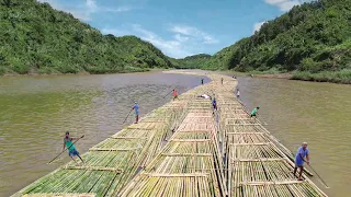 Genius Method They Found to Transport  Millions of Bamboos in River