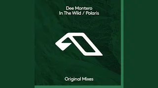 In The Wild (Extended Mix)