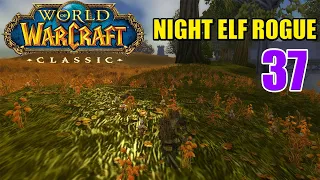 Let's Play Classic WoW SOM | HARDCORE | Night Elf Rogue | EP. 37 | Gameplay Walkthrough