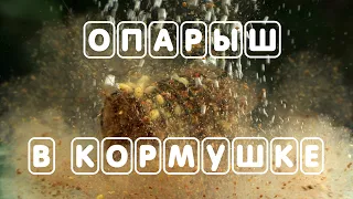 Опарыш в кормушке. Опарыш. Лучшая наживка. Подводные съёмки.