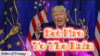 Adele-Set Fire To The Rain (Cover by Donald Trump) 🔥🌧️