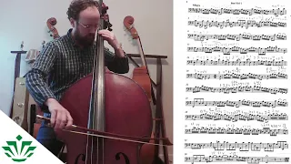 North Carolina Senior Orchestra Audition 2020-21 Tutorial: Bass