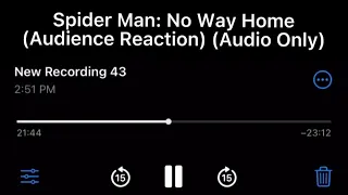 (SPOILERS) Spider Man: No Way Home (Audience Reaction) (Audio Only)